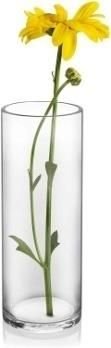Glass Cylindrical Vase