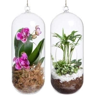 Borosil Glass Hanging Vase