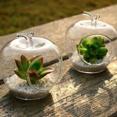 Borosil Glass Hanging Vase